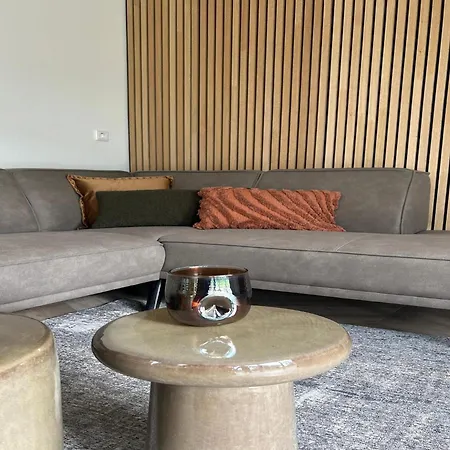 Eco Forest By Palette De-steppe *