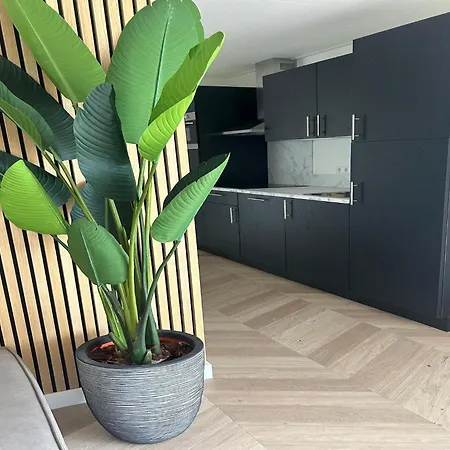 Eco Forest By Palette De-steppe * Ulicoten