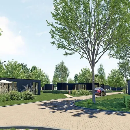 Eco Forest By Palette De-steppe