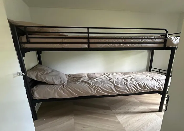 Eco Forest By Palette De-steppe * Ulicoten