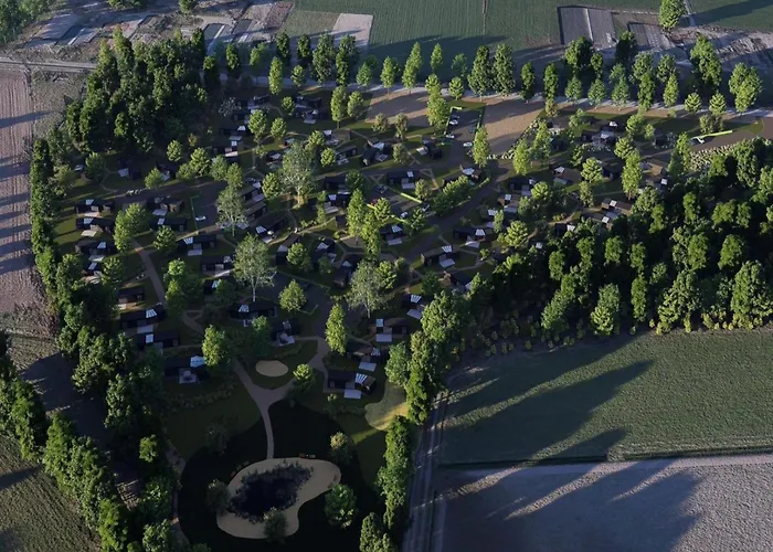 Eco Forest By Palette De-steppe *