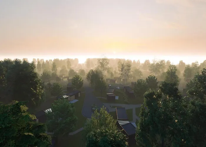 Eco Forest By Palette De-steppe