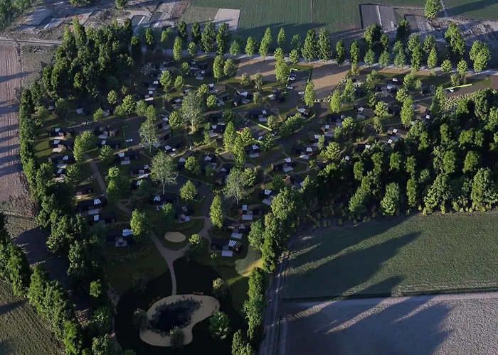 Eco Forest By Palette De-steppe *